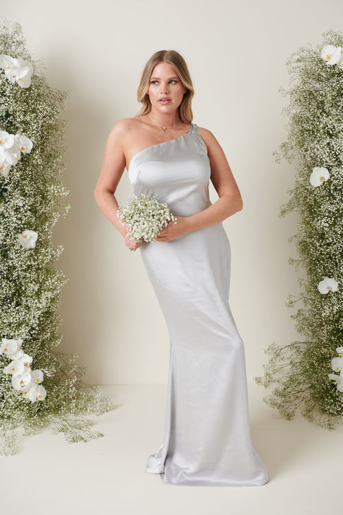 Amelia Tie Maxi Bridesmaid Dress - Matte Silver
